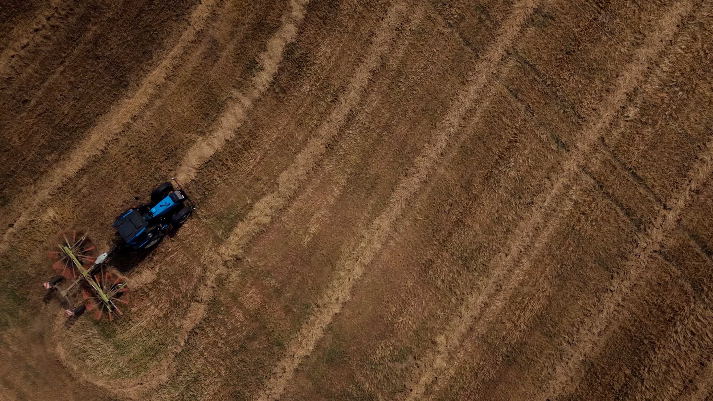Meet the Farmer // North Pennines National Landscape